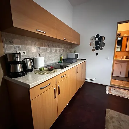 Tobacco Sforii Apartment Brasov