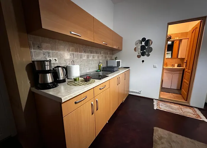 Tobacco Sforii Apartment Brasov