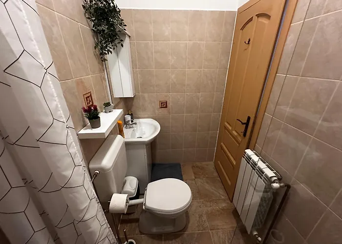 Apartment Tobacco Sforii Brasov