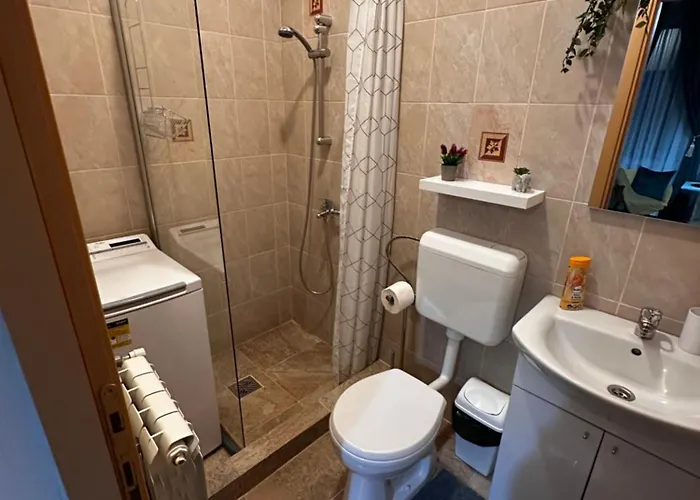 Apartment Tobacco Sforii Brasov